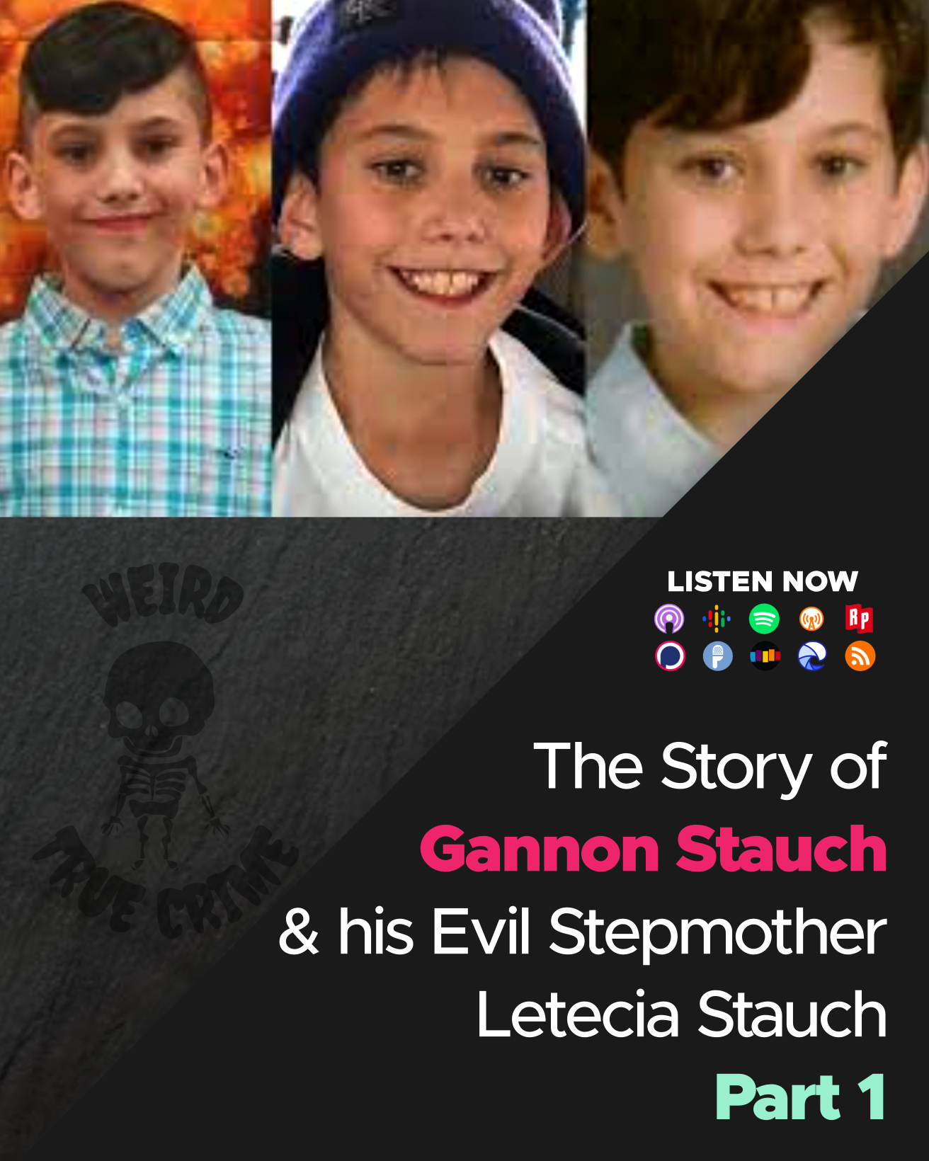 Episode Scripts – The Tragic True Crime Case of Gannon Stauch and his ...